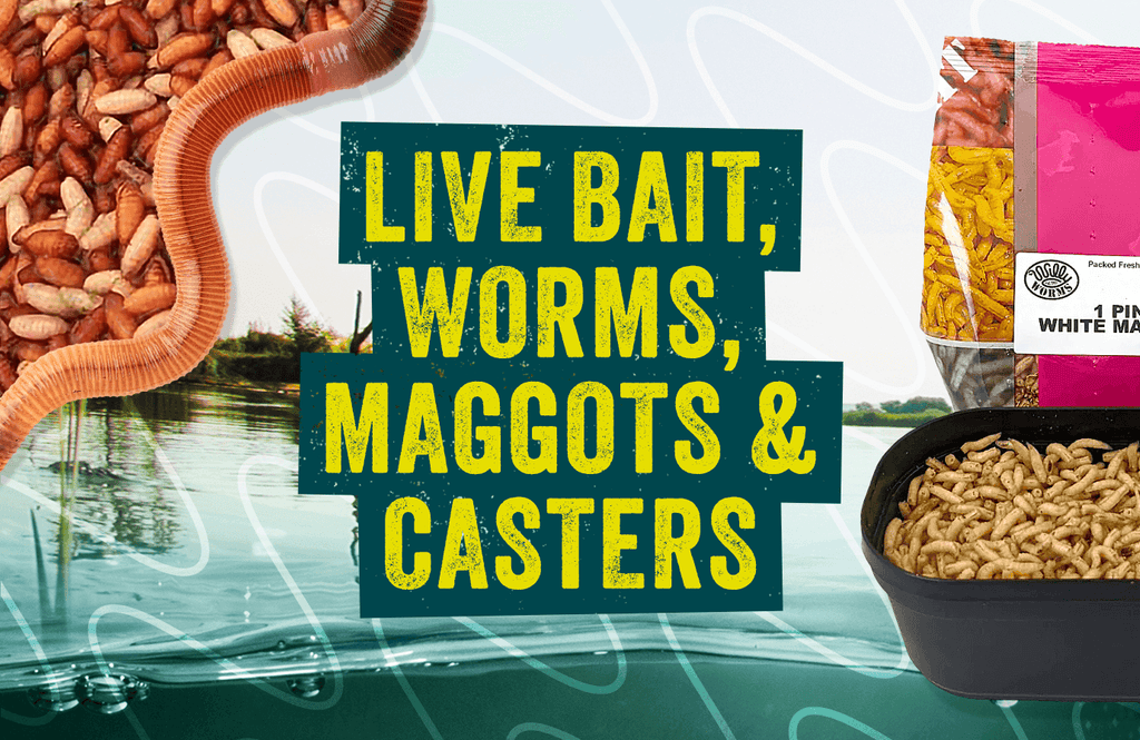 Live Bait, Worms, Maggots & Casters