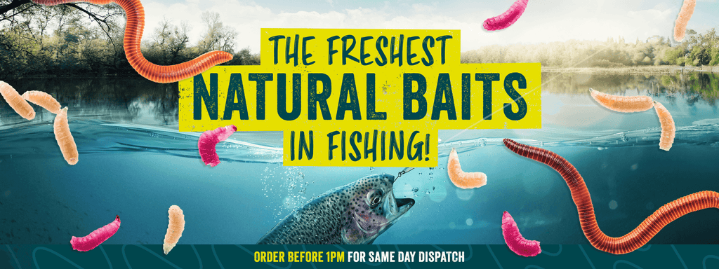 The freshest natural baits in fishing!