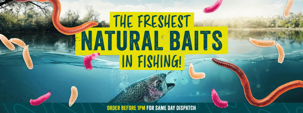 The freshest natural baits in fishing!