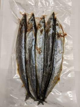 Blueys (Pacific Saury) Dead Bait Deadbait