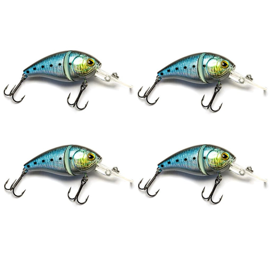 E-Sox Wag Lures – Willy Worms