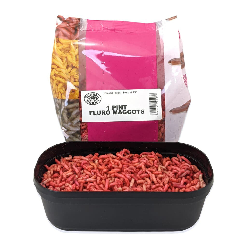 Fluro Maggots – Willy Worms