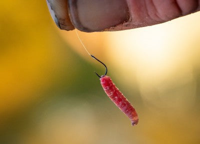 Guru Match Special Rig 8 Hooks