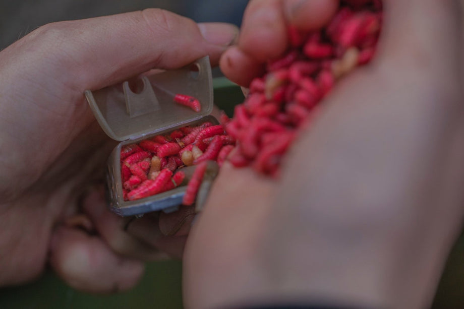 Al Via In Puglia 600 Impianti Gratuiti Grazie Al Reddito Energetico - Foto 9