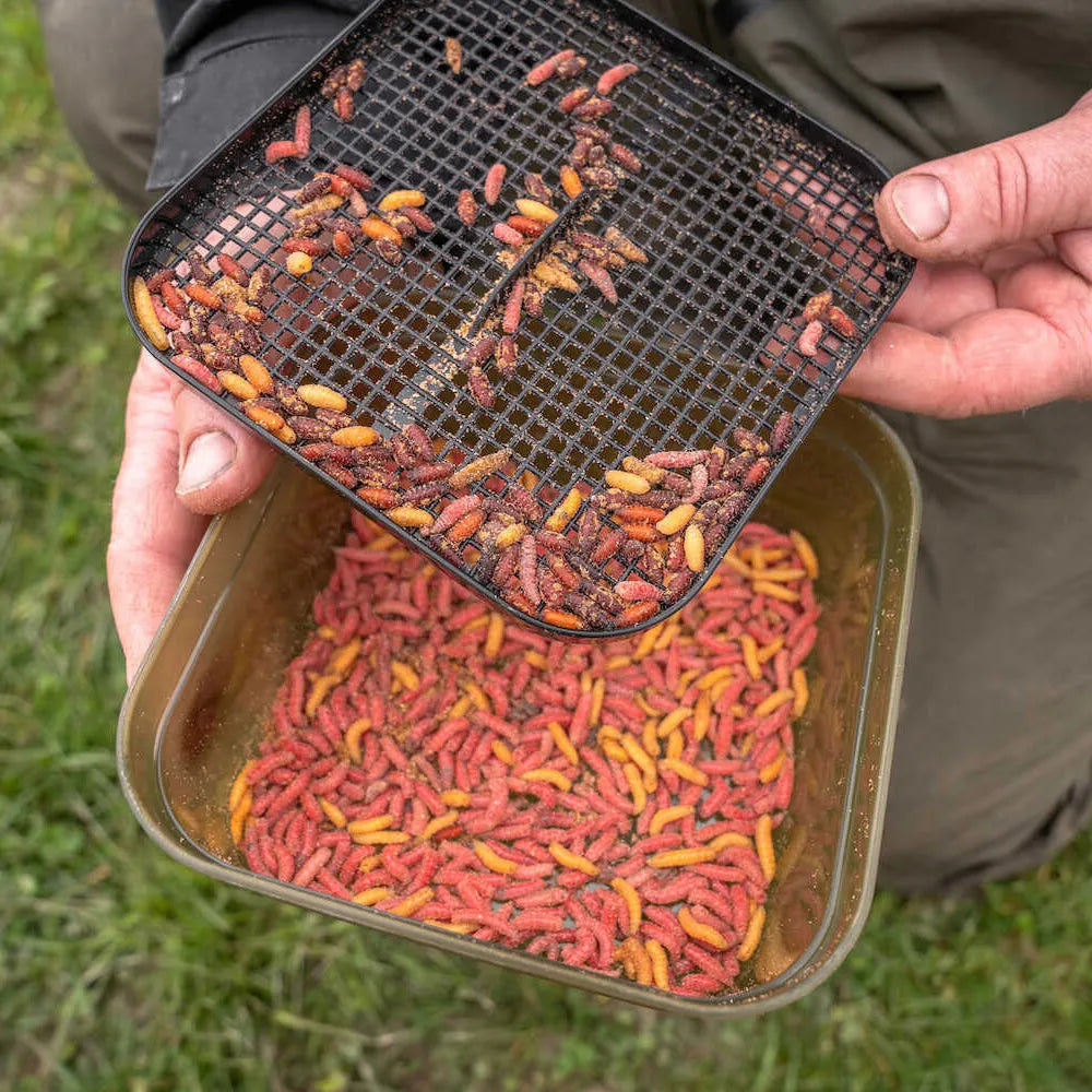 Korum Maggot Tub 2 Pint & Riddle 1.2l – Willy Worms Korum Maggot Tub 2 Pint & Riddle 1.2l – Willy Worms