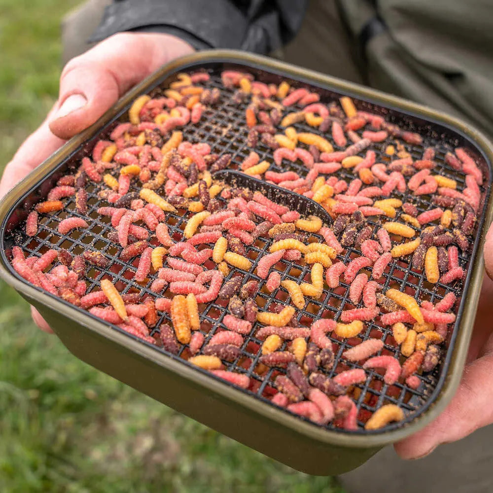 Korum Maggot Tub 2 Pint & Riddle 1.2l Bait Box