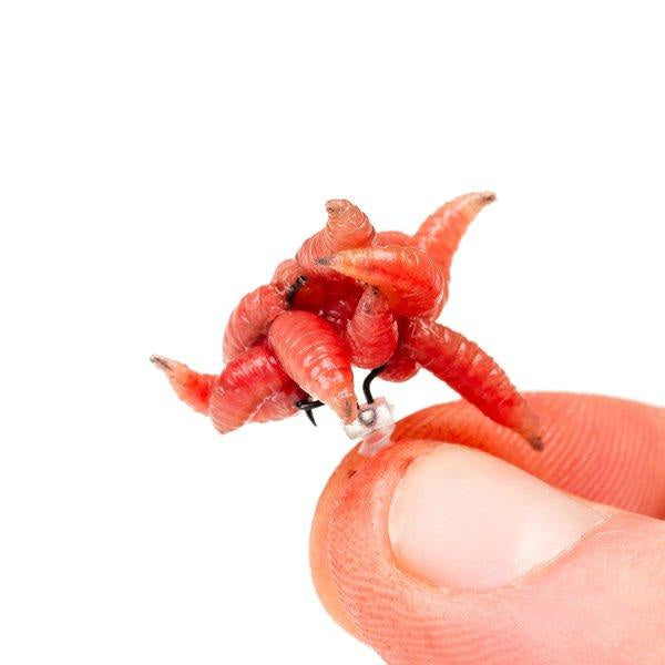 Nash Maggot Screw Bait Mounting & Presentation