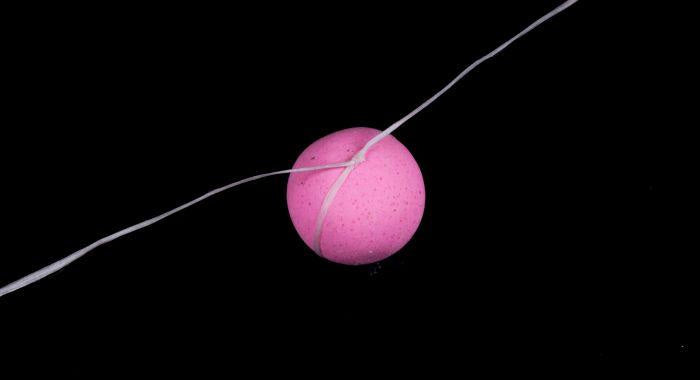 Nash Waxed Bait Floss Bait Mounting & Presentation