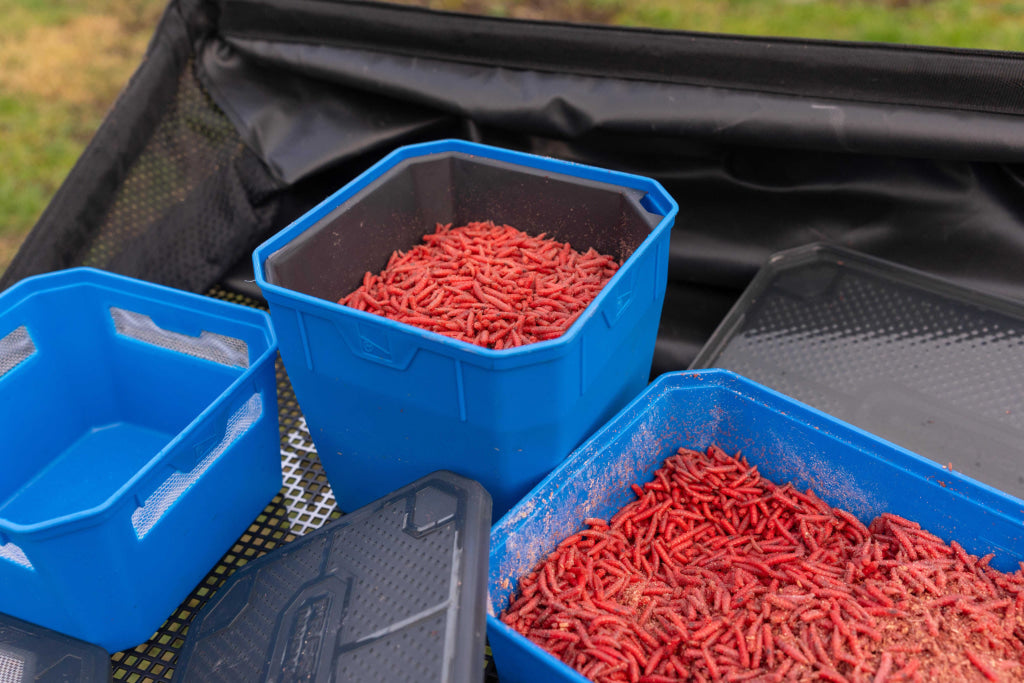 New Preston Bait Tubs Bait Accessories