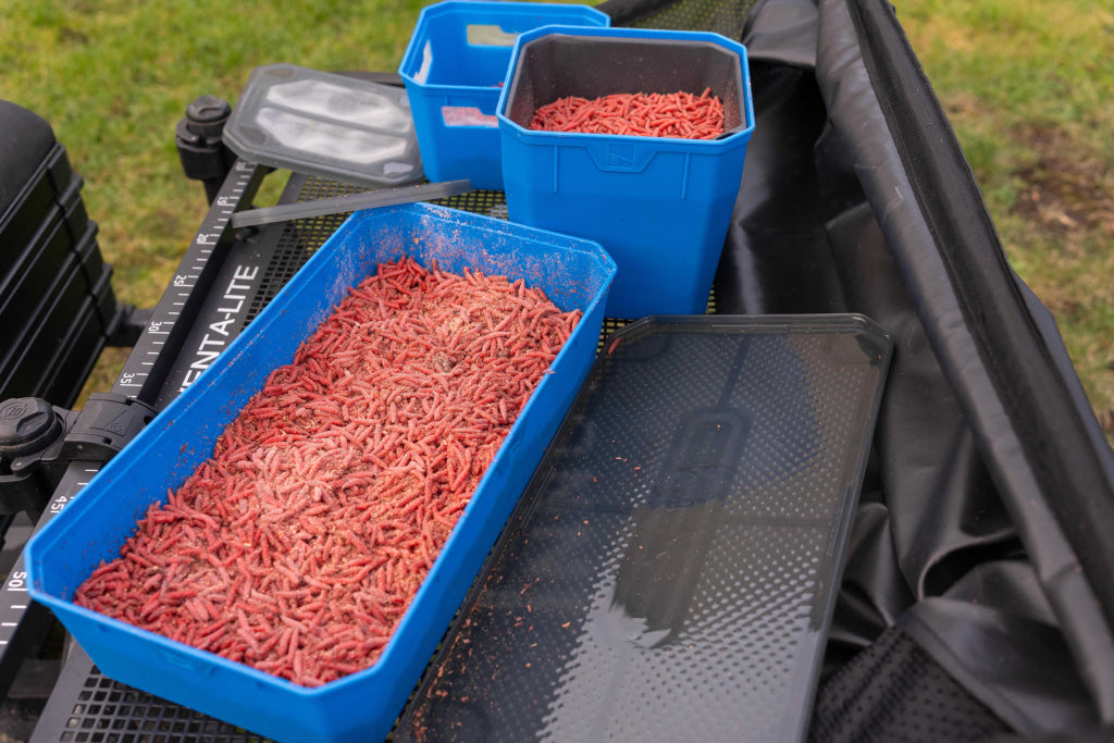 New Preston Bait Tubs Bait Accessories