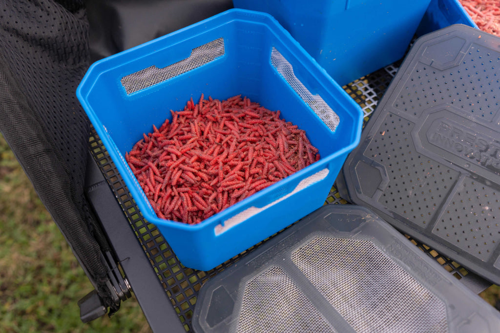 Preston 3pt Venta Window Tub Bait Accessories