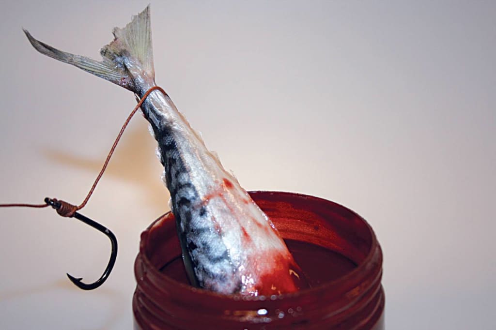Dynamite Baits - Bloodied Eel Catfish Bait Dip - 270ml Liquids