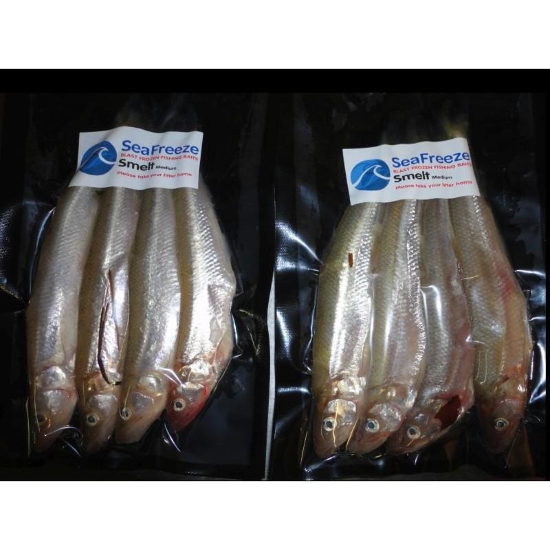 Smelts (Pack of 4) – Willy Worms